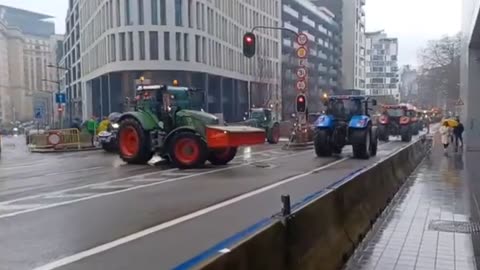 🚜 📢Boeren blijven actie voeren 🇧🇪 Brussel 26.02.24.☝️Nieuwe actie 14 maart 2024.