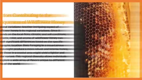 What is Wildflower Honey?