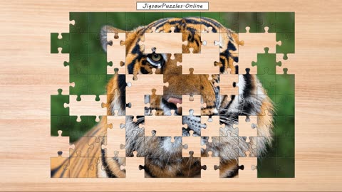 Tiger Jigsaw Puzzle Online