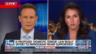 Tulsi Gabbard RIPS Brennan and Schiff For Wanting To Potentially Label Half The Country Terrorists