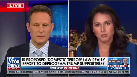 Tulsi Gabbard RIPS Brennan and Schiff For Wanting To Potentially Label Half The Country Terrorists