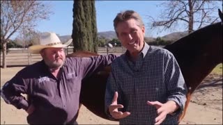 Lifewave Aculife Horse Testimony