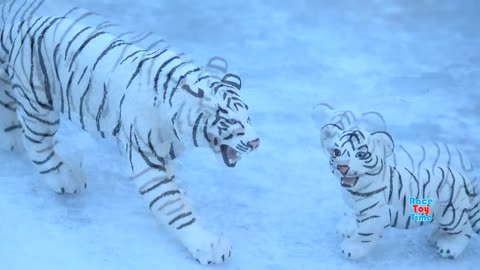 Two tiger fight animal