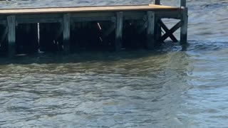 Runaway Boat Causes Some Damage