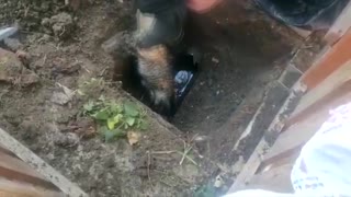 Moment Firemen Rescue Trapped Cat From Sewage Pipe
