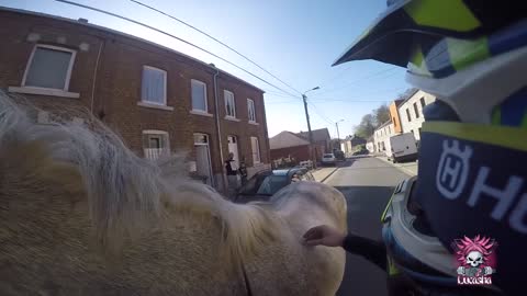 I SAVED A HORSE BY CRASHING MY MOTORCYCLE!