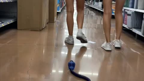 Girls pranked with toy snake