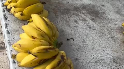 How do these banana look like?