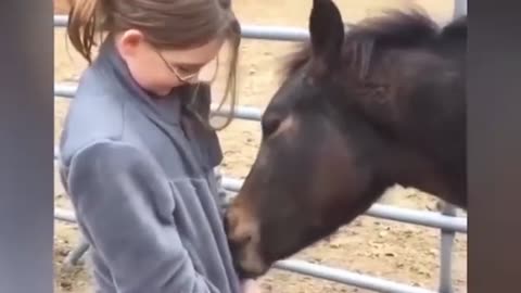 "Horse Zips Woman's Shirt, Bird Antics & More! Hilarious Animal Compilation"