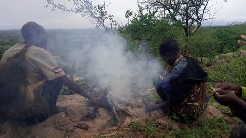 Hadzabe tribe climb a tree in search of honey on a Baobab tree