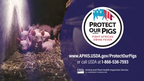 Veterinarians are the First Line of Defense Against African Swine Fever