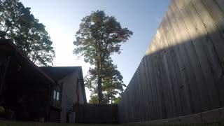 Tree Removal - Time Lapse
