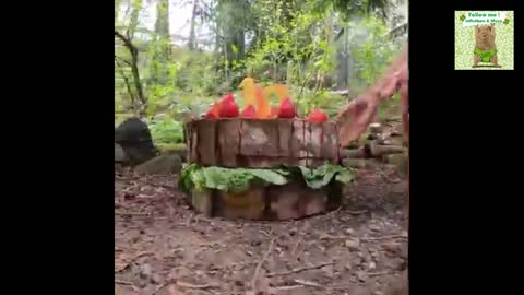 It's his birthday! 🎂 Animal Fun with Veggie Cake