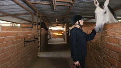 Beautiful young woman caress horses in the stables