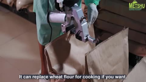 How to Produce Millions Product of Coconuts - Coir, Cocopeat, Coconut Cream, Coconut Flour Factory