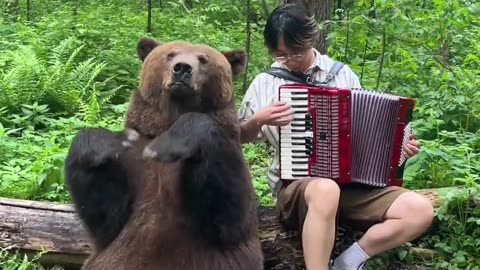 Play fun music with bear