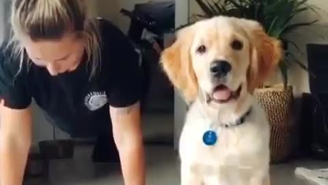 Dog training Nice li 🐕‍🦺