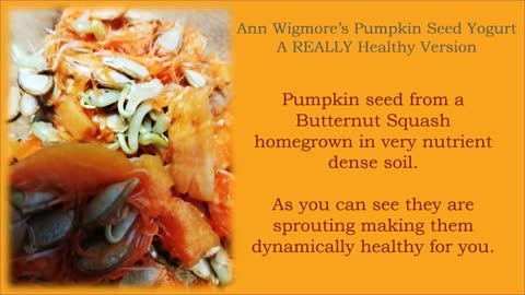 Ann Wigmore's Pumpkin Seed Yogurt