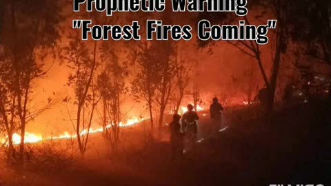 FOREST FIRES ARE COMING