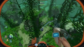 Subnautica in the southwest