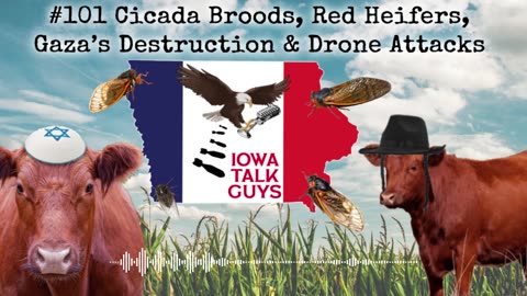Iowa Talk Guys #101 Cicada Broods, Red Heifers, Gaza’s Destruction & Drone Attacks