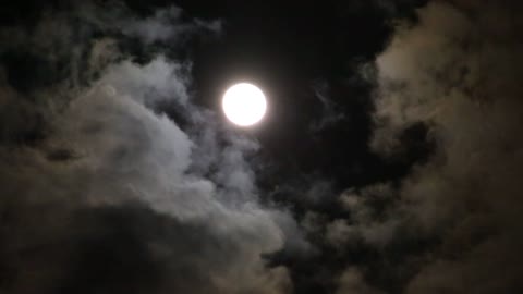Moon Light at night -Must watch!