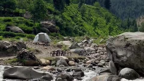 Exploring the Enchanting Wilderness: A Journey Through Kashmir's Natural Beauty