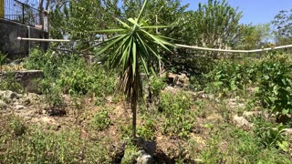 Yaxcaba Mexico Ranch Updates for my mom in Port St. Lucie Florida