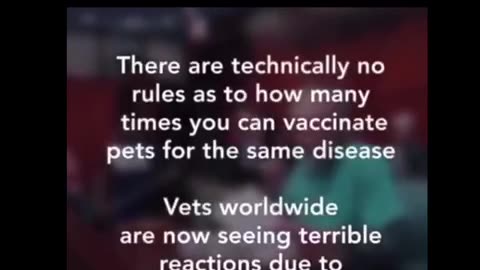 Do Not Vaccinate your PET