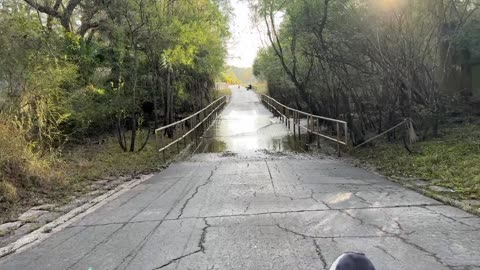 Corinthian Recumbent - Flatwoods Trail