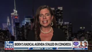 Rep. Nancy Mace: "Democrats are in disarray. It's a dumpster fire."