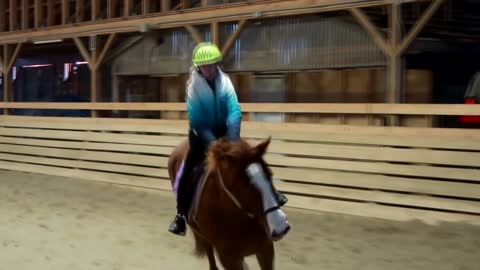 Small Chihuahua RACES and Gabby's HORSEBACK Riding Lesson