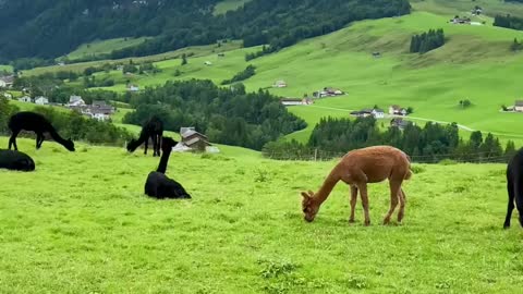 Such peaceful and beautiful view! Thanks and you too, Fab!⛰️