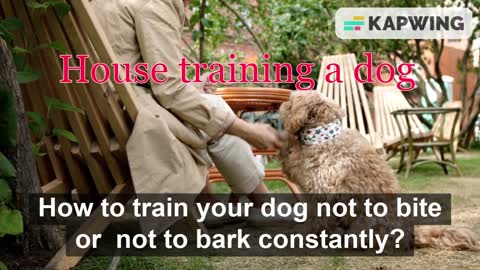 Dog training