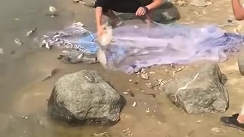 Wow fishing video