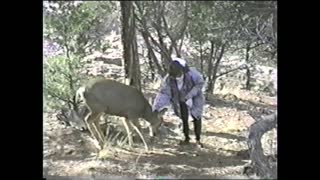 Woman Tries To Hug A Deer, The Deer Hits Her Instead