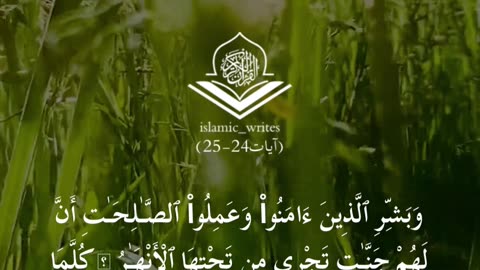 Reflections on Surah Al-Baqarah: Ayahs 24-25📖 #SurahBaqarah #QuranVerses