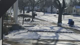 Lawn Mowing in the Snow