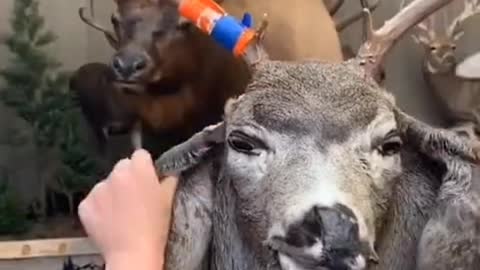 Wow Slow Mo Wear Face Cover in Deer