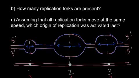 DNA. Origin of replication