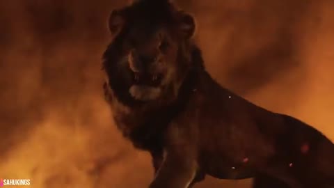 Lion roar video