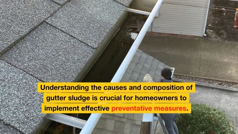 What is Gutter Sludge? What are the Causes?