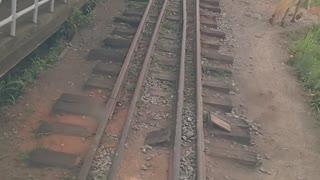 Horse Holds Up Train on Bridge