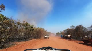 Dust Devil Dorothy Crosses the Road