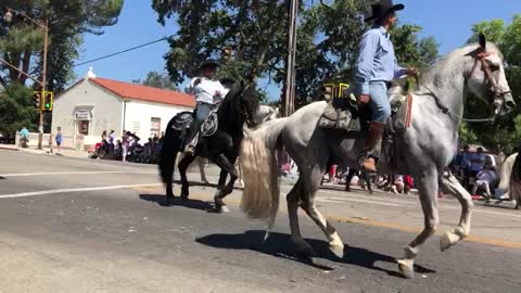 The cool Dancing Horses in the Ojai Parade 2022