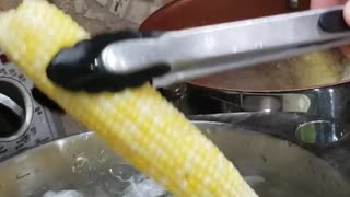 Harvest corn 🌽🌽 in under 40 seconds