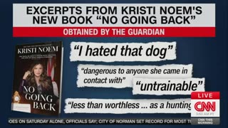 CNN's Kasie Hunt Accuses Trump Of Hating Dogs In Kristi Noem Panel