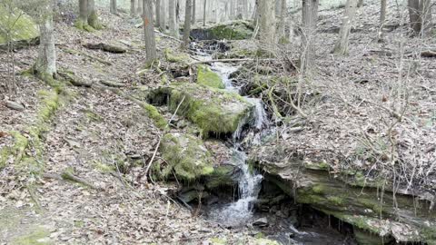 Creek Meditation