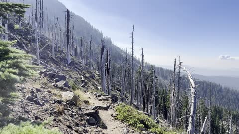 Ridgeline Switchback Alpine Panorama – Three Fingered Jack Loop – Central Oregon – 4K