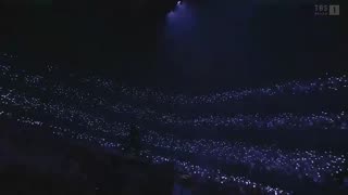 Bts performance